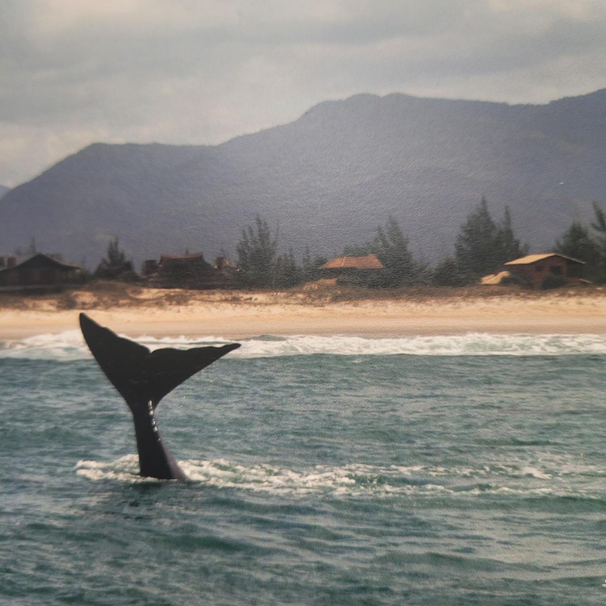Pousada PARAÍSO 26 Imbituba  Exteriér fotografie